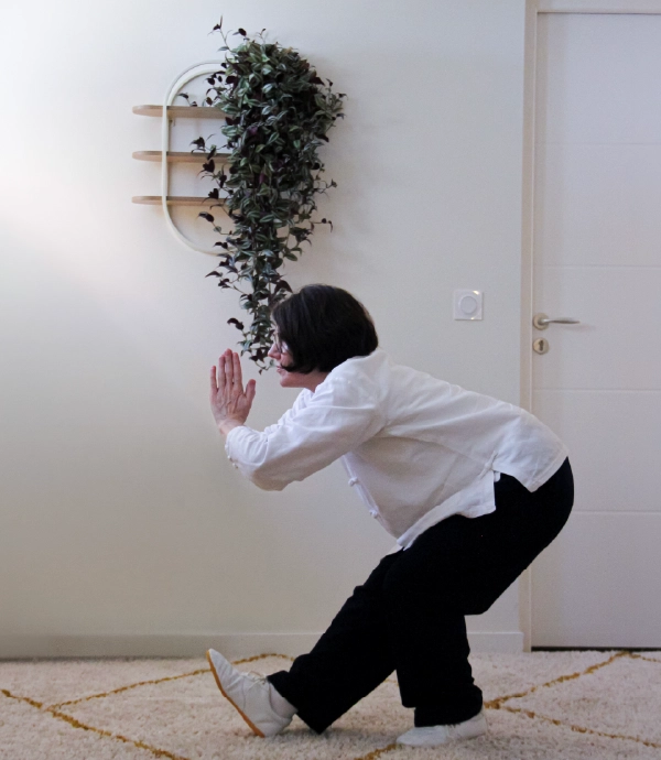Stretching et mobilité - Qi Gong Nathalie Gogo Avranches Granville